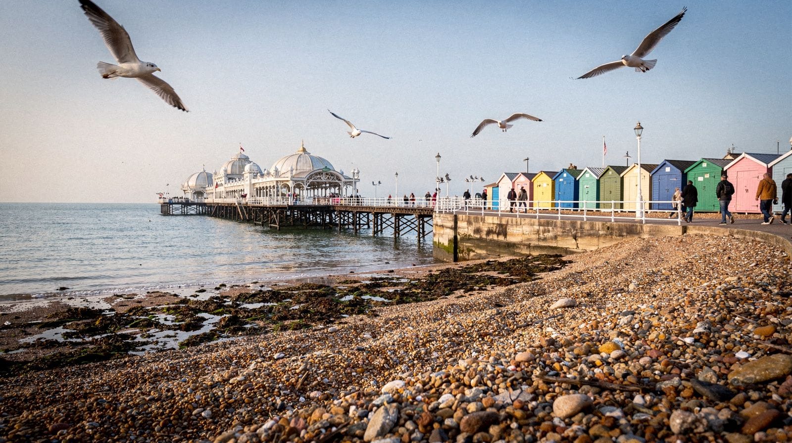 Brighton in giornata sul mare: molo, Lanes, e come evitare la coda per le Seven Sisters