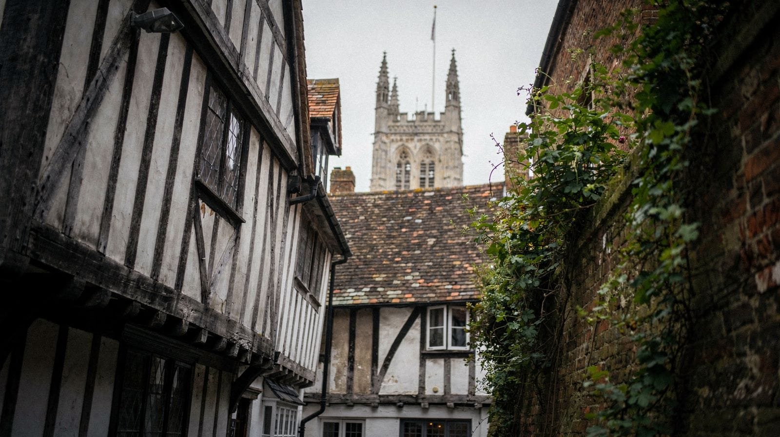 Canterbury e il Kent: cattedrale, castelli e le White Cliffs