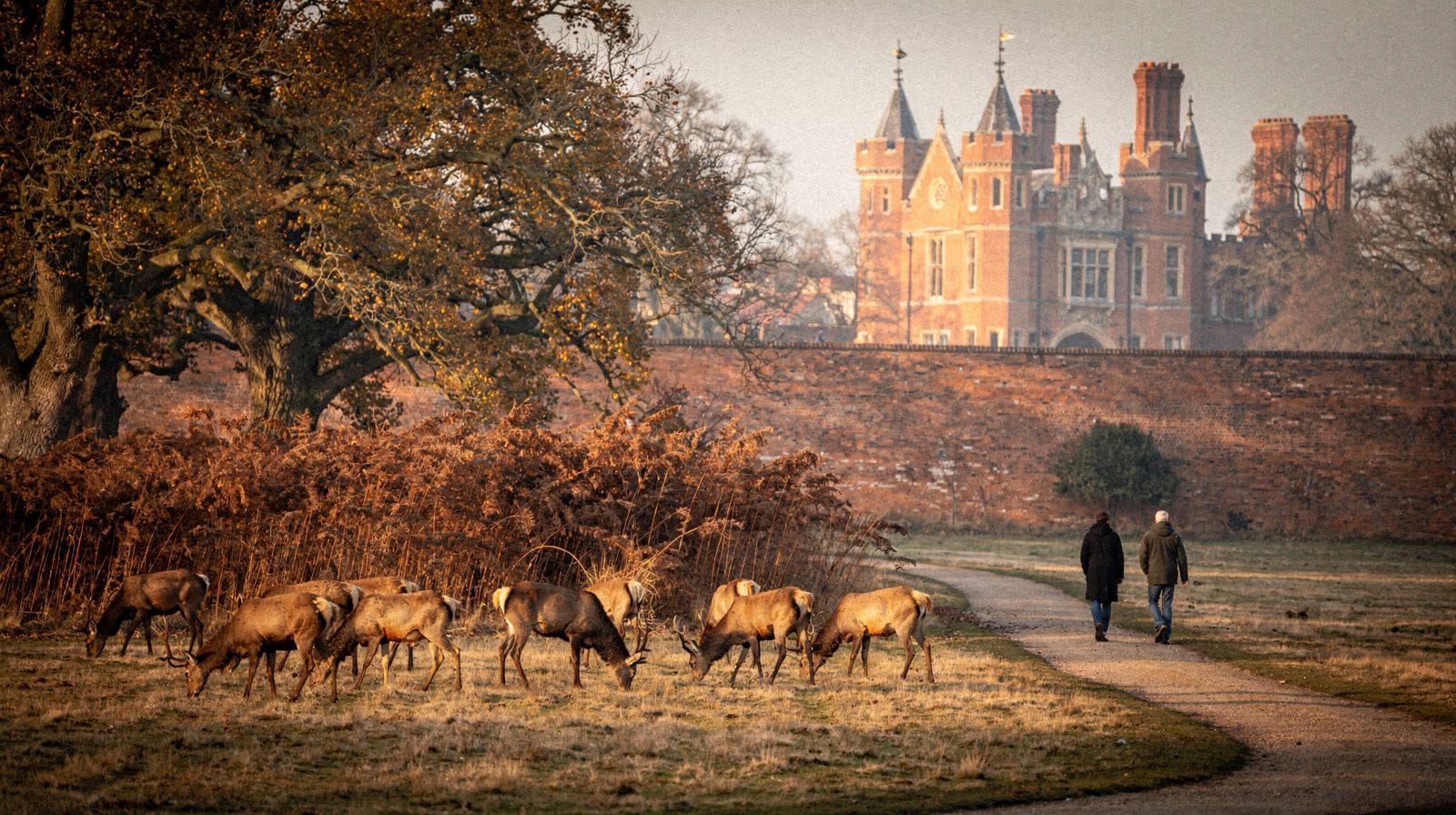 Richmond, Kew en Hampton Court: gratis koninklijk Londen vs betaald