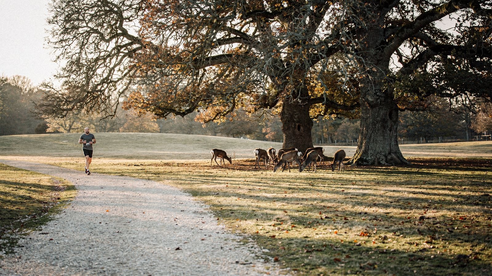 Wat te doen in Richmond, Kew en Hampton Court